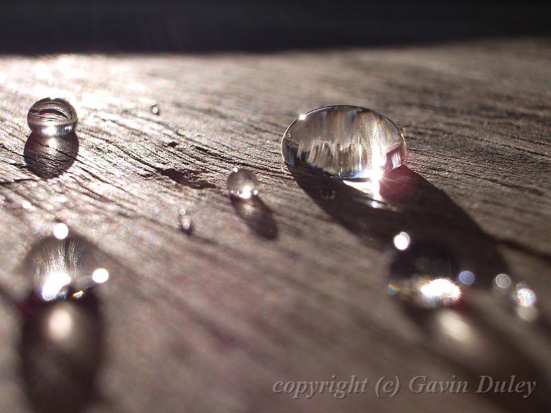 Beads of silver IMGP1382.JPG